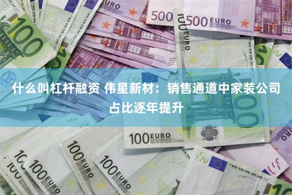 什么叫杠杆融资 伟星新材：销售通道中家装公司占比逐年提升