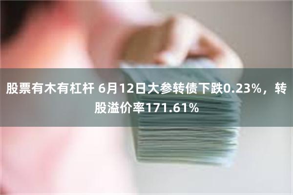 股票有木有杠杆 6月12日大参转债下跌0.23%，转股溢价率171.61%