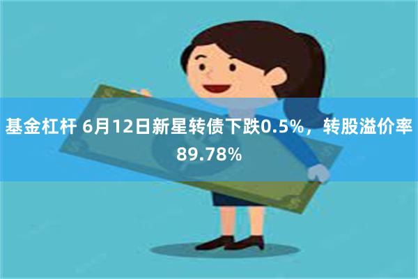 基金杠杆 6月12日新星转债下跌0.5%，转股溢价率89.78%