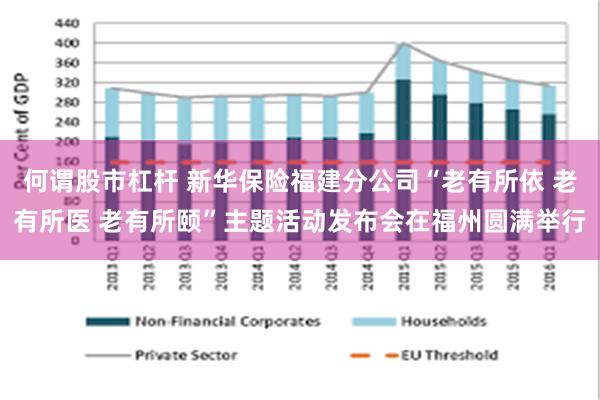 何谓股市杠杆 新华保险福建分公司“老有所依 老有所医 老有所颐”主题活动发布会在福州圆满举行