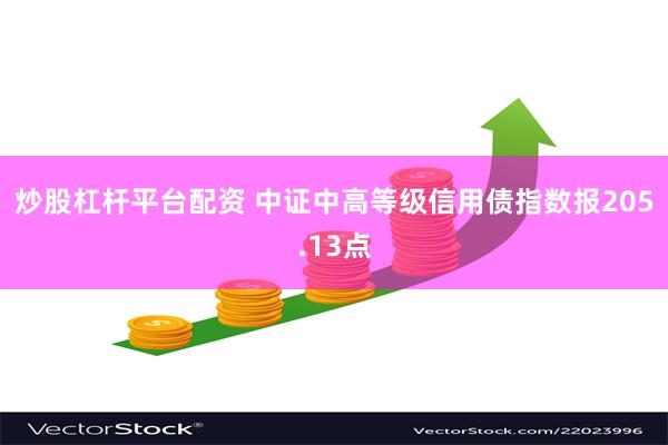 炒股杠杆平台配资 中证中高等级信用债指数报205.13点