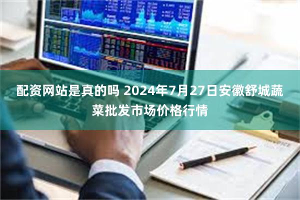 配资网站是真的吗 2024年7月27日安徽舒城蔬菜批发市场价格行情