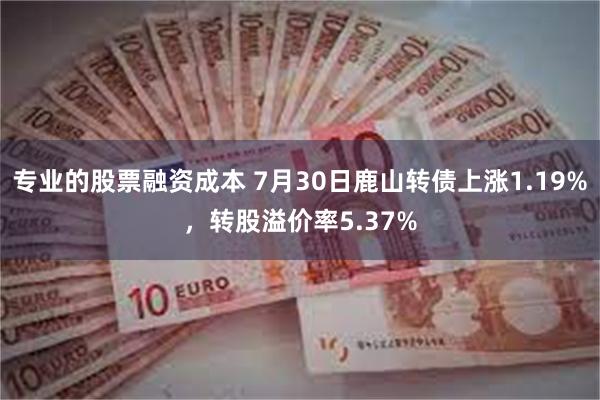 专业的股票融资成本 7月30日鹿山转债上涨1.19%，转股溢价率5.37%