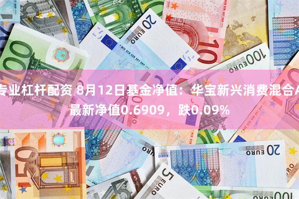 专业杠杆配资 8月12日基金净值：华宝新兴消费混合A最新净值0.6909，跌0.09%