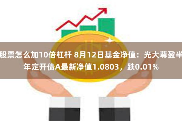 股票怎么加10倍杠杆 8月12日基金净值：光大尊盈半年定开债A最新净值1.0803，跌0.01%