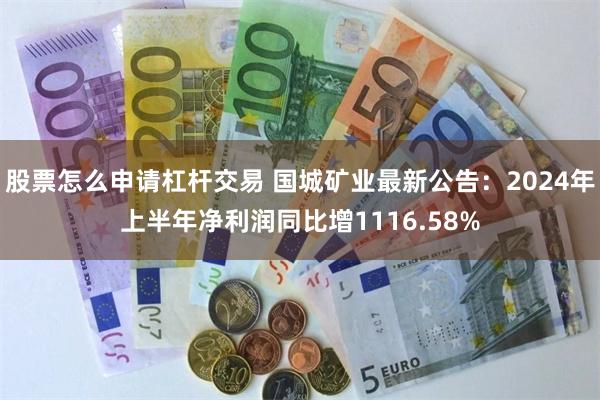 股票怎么申请杠杆交易 国城矿业最新公告：2024年上半年净利润同比增1116.58%