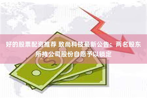 好的股票配资推荐 致尚科技最新公告：两名股东所持公司股份自愿予以锁定