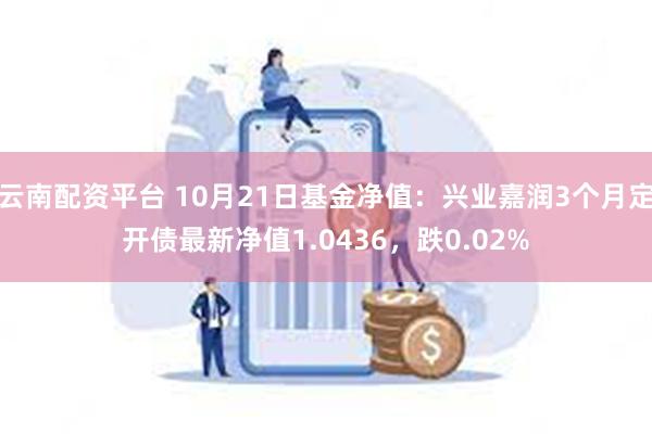 云南配资平台 10月21日基金净值：兴业嘉润3个月定开债最新净值1.0436，跌0.02%