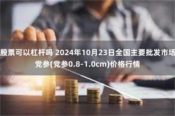 股票可以杠杆吗 2024年10月23日全国主要批发市场党参(党参0.8-1.0cm)价格行情