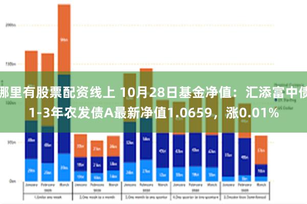 哪里有股票配资线上 10月28日基金净值：汇添富中债1-3年农发债A最新净值1.0659，涨0.01%