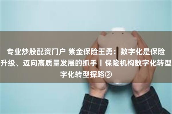 专业炒股配资门户 紫金保险王勇：数字化是保险业转型升级、迈向高质量发展的抓手丨保险机构数字化转型探路②