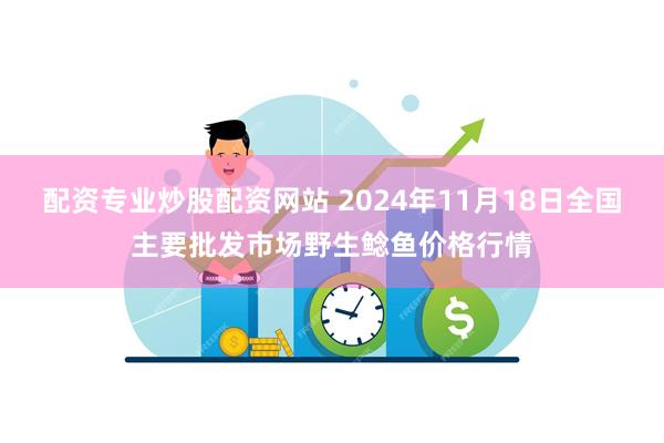 配资专业炒股配资网站 2024年11月18日全国主要批发市场野生鲶鱼价格行情