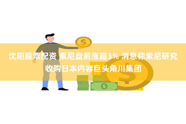 沈阳股票配资 索尼盘前涨超3% 消息称索尼研究收购日本内容巨头角川集团