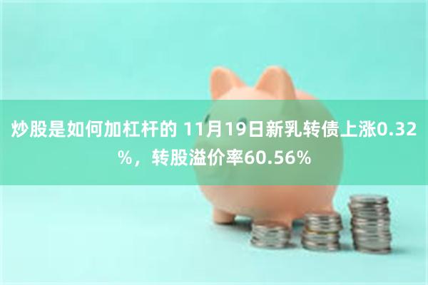 炒股是如何加杠杆的 11月19日新乳转债上涨0.32%，转股溢价率60.56%