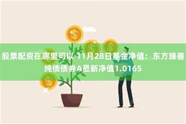 股票配资在哪里可以 11月28日基金净值：东方臻善纯债债券A最新净值1.0165