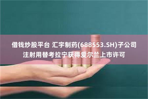 借钱炒股平台 汇宇制药(688553.SH)子公司注射用替考拉宁获得爱尔兰上市许可